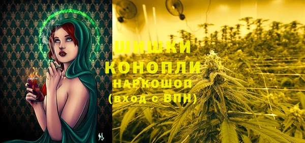 шишки Карпинск