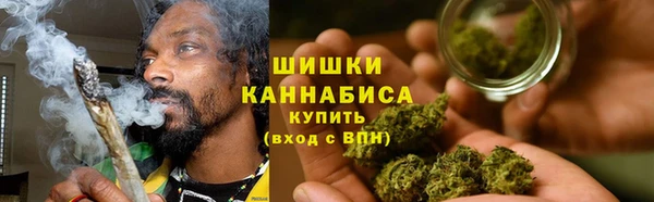 стаф Касимов