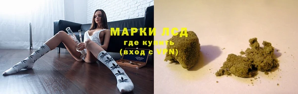стаф Касимов
