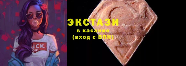 стаф Касимов