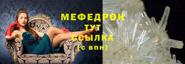 стаф Касимов