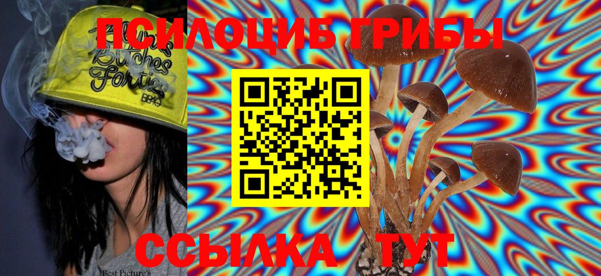 Псилоцибиновые грибы Psilocybe  Псилоцибиновые грибы GOLDEN TEACHER  Вход с VPN  Сокол 